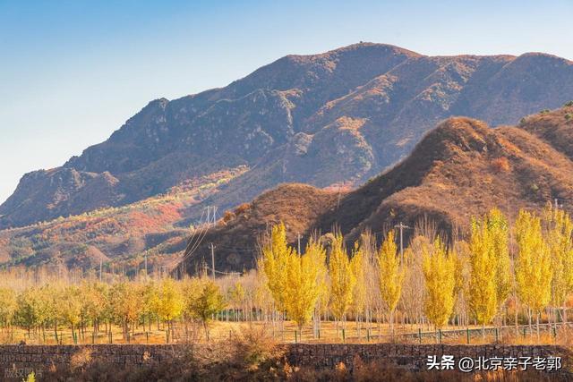 周末逃离人潮！京郊“小喀纳斯”喇叭沟门赏秋指南