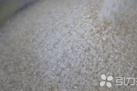 “南粳46”、GABA米，太仓地产新米上市！图片