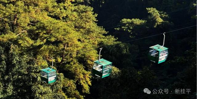 桂平半程马拉松选手看过来！文旅福利已就位，三大景点等你打卡～