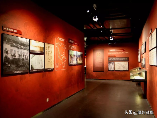 清明不想挤人海？来佛坪邂逅金丝猴、漫步金色花海→