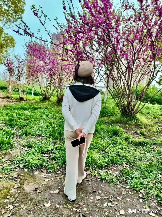 清明访千灯,顾园寄幽思