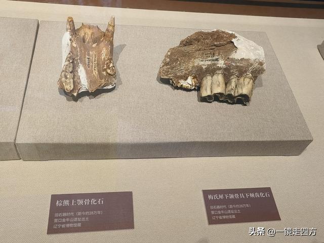 在辽宁省博物馆新馆的一楼特展区，能集中看到不少这里的镇馆之宝