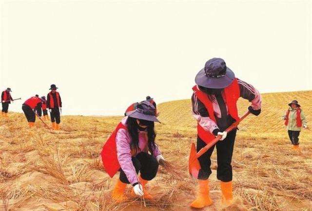 美国专家：这县城必成罗布泊！4万年轻姑娘不信邪，直接杀到沙漠