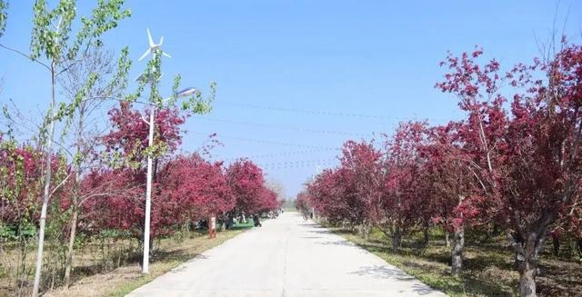 第五届！盛大开幕！门票全免！