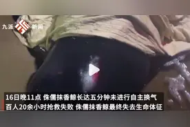 日本核污水排海后，一场更严重灾难来袭！大量生物死亡，触目惊心图片