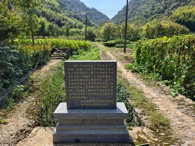 跟着“中国第一旅游博主”，打卡富阳万市古道！