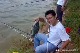 野钓大罗非鱼的窝料和钓饵配方，诱鱼快又多图片