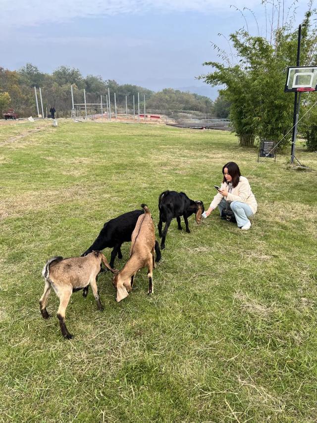 国家级3A 黄陂再+1