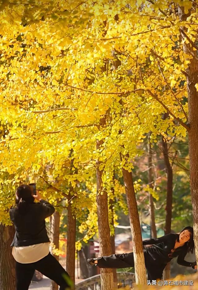 限时绝美！黄石街头颜值巅峰 周末来打卡