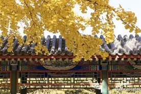 江湖故事—京城仁义大哥加代的这个名字是怎么由来的图片