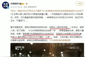 事大了！河北粮库2年万吨玉米失踪，粮商勾结驻库员获利2500多万图片