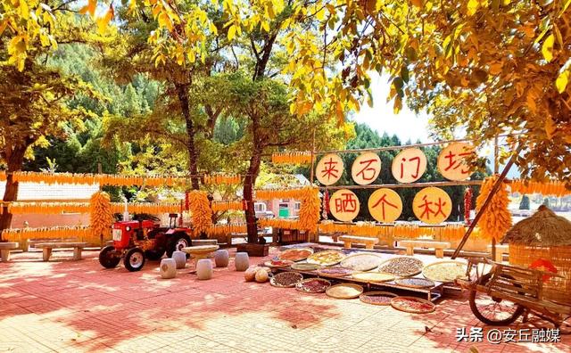 国庆自驾 “齐鲁天路”，上新活动全攻略出炉！