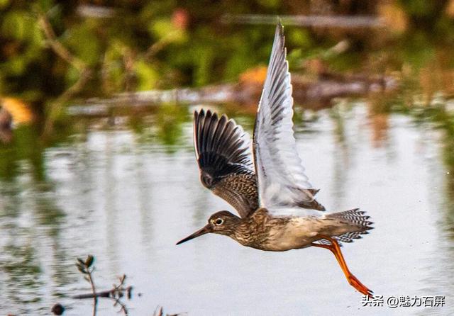 跨越山海的生态之约 奏响人与自然和谐乐章