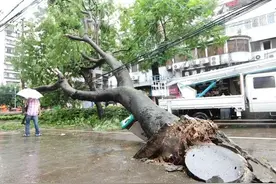 “一怕大树压房顶，二怕房后有池塘，三怕房前有人田”，啥意思？图片