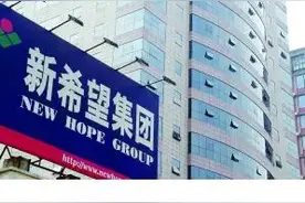 新希望，要暴雷了吗？图片