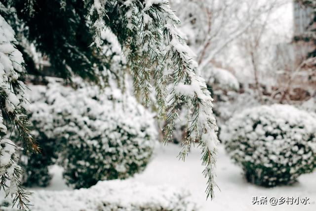 今日进一九，老人说“一九多晴天，坟头遍地起	”	，晴天有啥预兆？