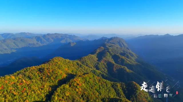 秋色浓度超标!汉中这座小城值得奔赴!