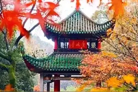 985综合类的中南大学与吉林大学实力如何？有何优势？图片