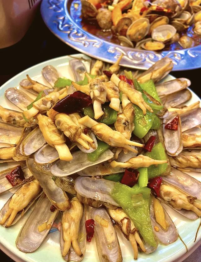 山东荣成：天鹅与海鸥齐飞，这座低调滨海城，藏着北纬37°的浪漫