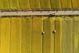 江苏率先建设的“无人化”农场，长什么样？图片