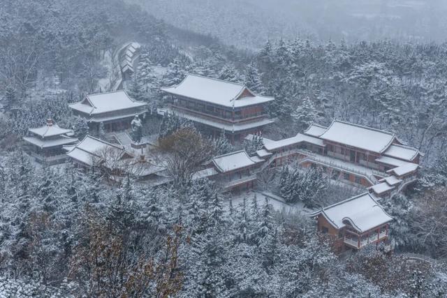 乘高铁看天鹅，还有限时景区优惠！