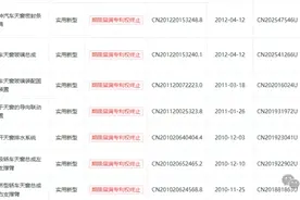 毓恬冠佳IPO中止背后：多次使用盗版软件被判赔1600万，侵犯全景天窗龙头专利涉案金额高达5400万元图片