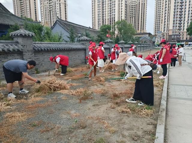 一抹志愿红 扮靓文庙景：哈尔滨阿城学雷锋服务队守护传统文化阵地