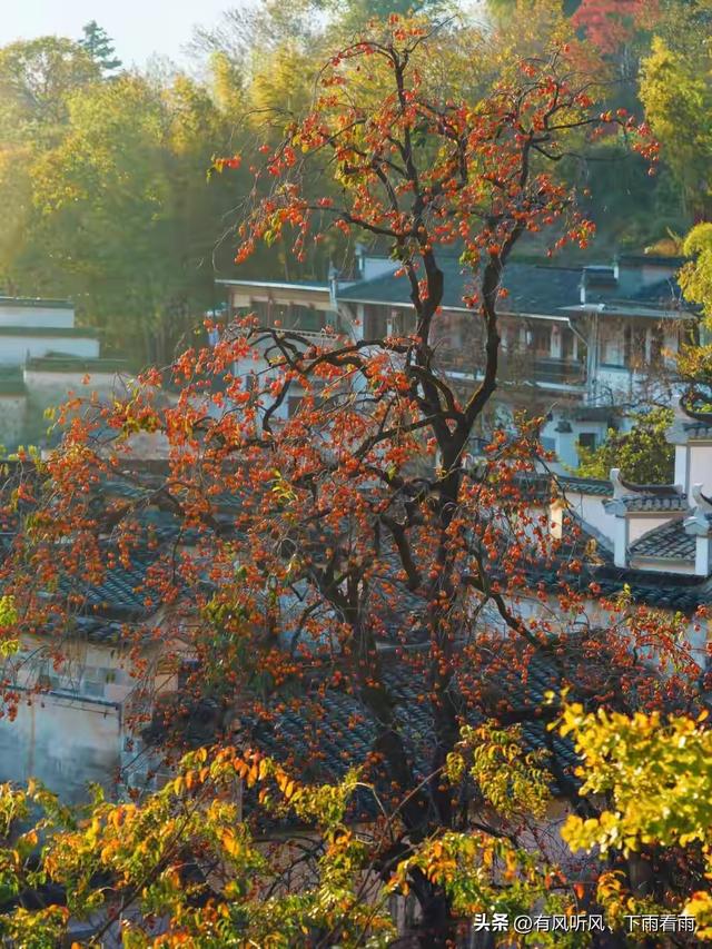秋染山河