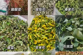 又到了云南人吃花的季节图片