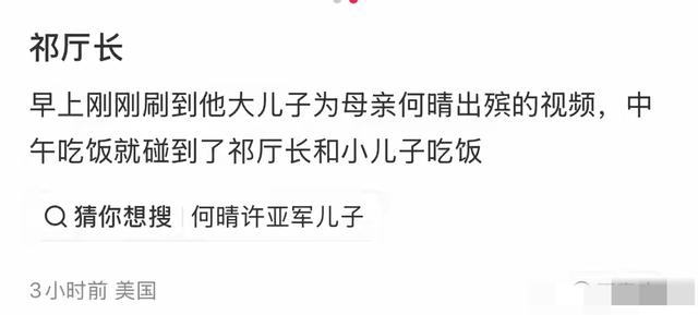 许亚军缺席何晴葬礼，却陪小儿子国外度假	，一身白衣眉头微蹙！