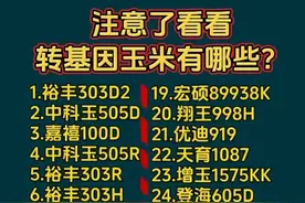 终于有人把转基因玉米，整理出来了，看看有哪些？图片