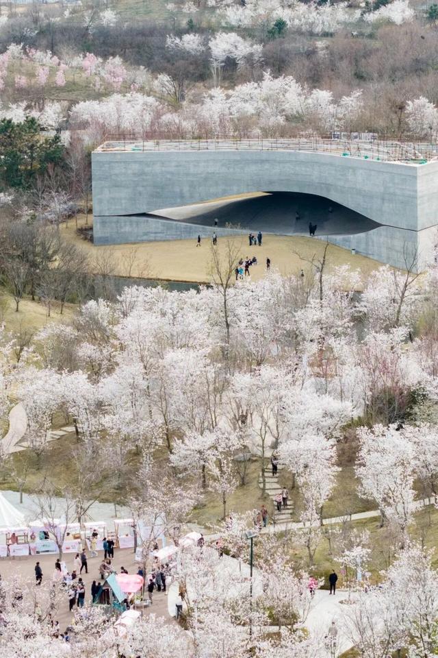 带上“一卡通”，赴一场山海相拥的春日浪漫之约