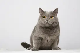 在农村，存多少钱才可以躺平？图片