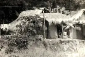 知青岁月：他带着版纳的女人回上海，经历了风雨见到了彩虹图片