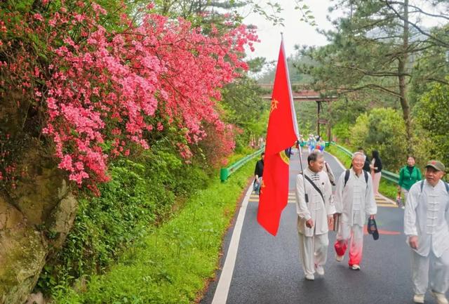 麻城杜鹃花海徒步大会启幕 预计4月下旬迎来盛花期