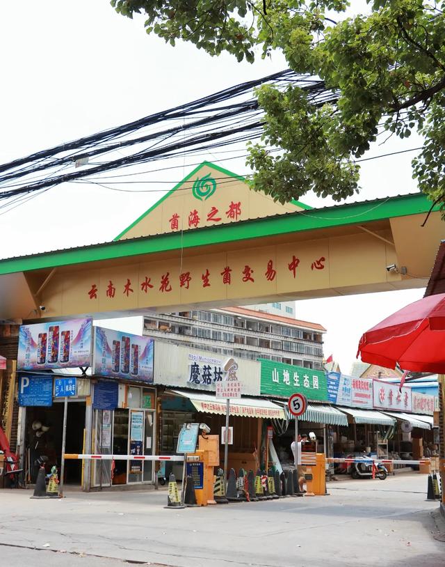 我是上海人，国庆杀到昆明，被这座大城市惊得目瞪口呆！