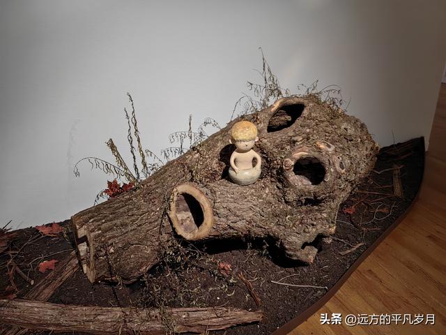 温哥华游记（二）