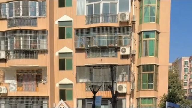 安康竹园小区：一方绿意四季如画，自然与人文之美