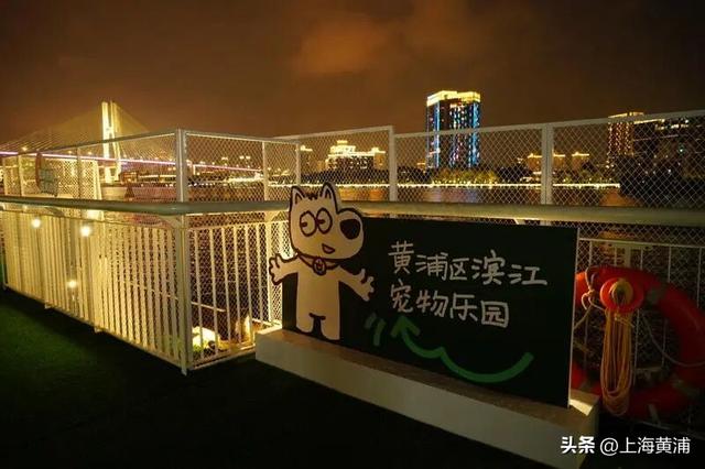 多图！一场跨越8天的光影森林“派对”已在黄浦滨江开启，大人小孩萌宠都能玩嗨！