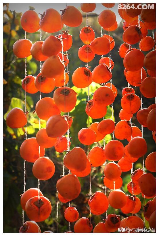 山东行游影记（194）—青州仰天山柿子沟（二）