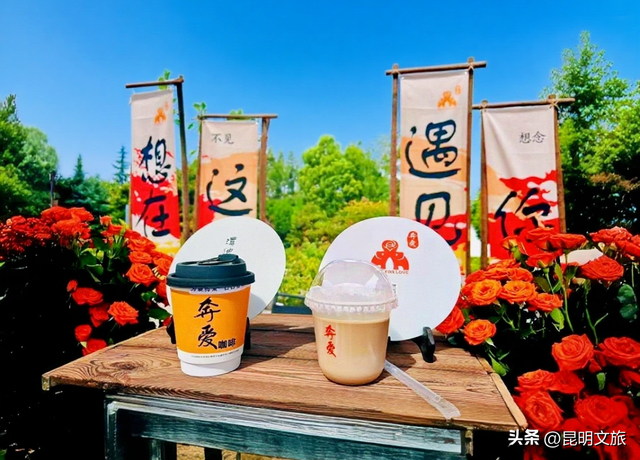 跨年狂欢不止一夜！来昆明带你从白天嗨到晚上，元旦超全活动指南来啦，嗨玩整个假期~