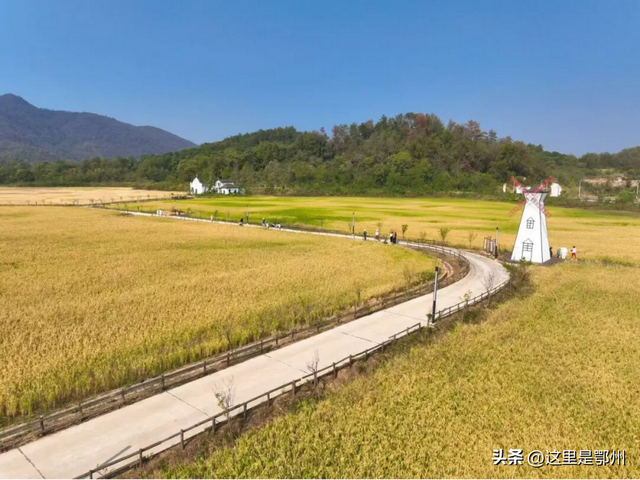 这里是鄂州最High的地方！