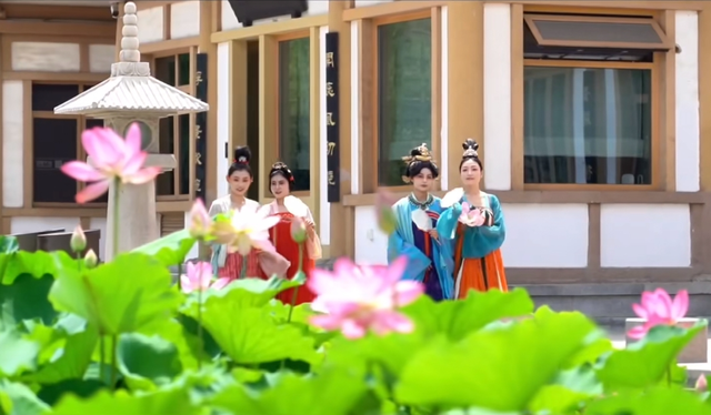 曲江池第一波荷花上新，夏日顶流等你打卡！