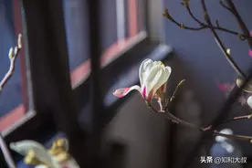 真正有本事的人，多半身上从来不缺三个字，这才叫厉害图片