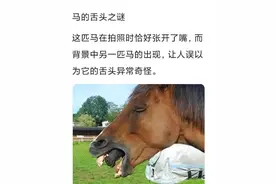 我真服了！网友成功帮联哥买了一张高铁票！评论区笑死！图片