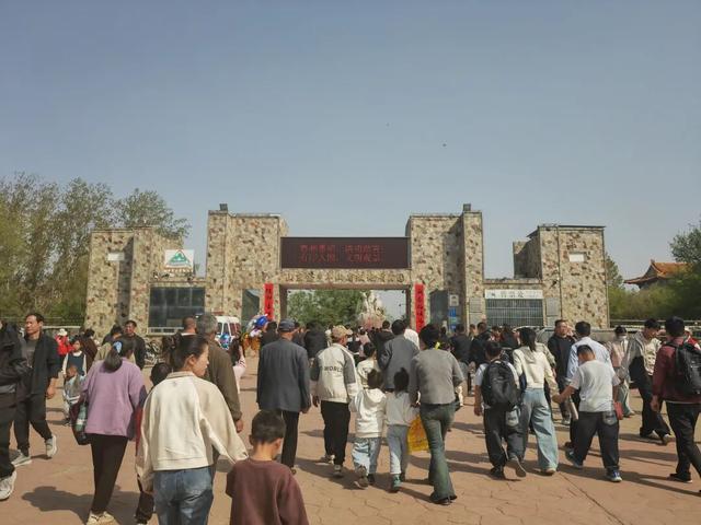 93.24万人次！济宁清明小长假“热”力全开