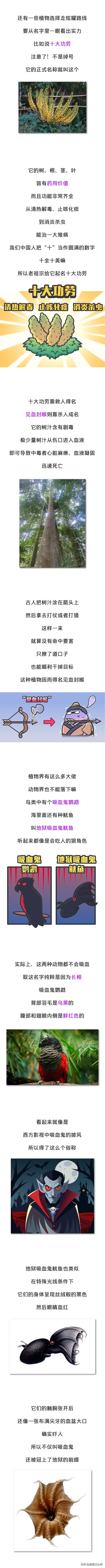 裸男花，冥界花，肌肉苍蝇……抽象动植物大赏