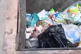 黑龙江一新生女婴被扔在垃圾桶里…这不是遗弃，已涉嫌故意杀人！图片