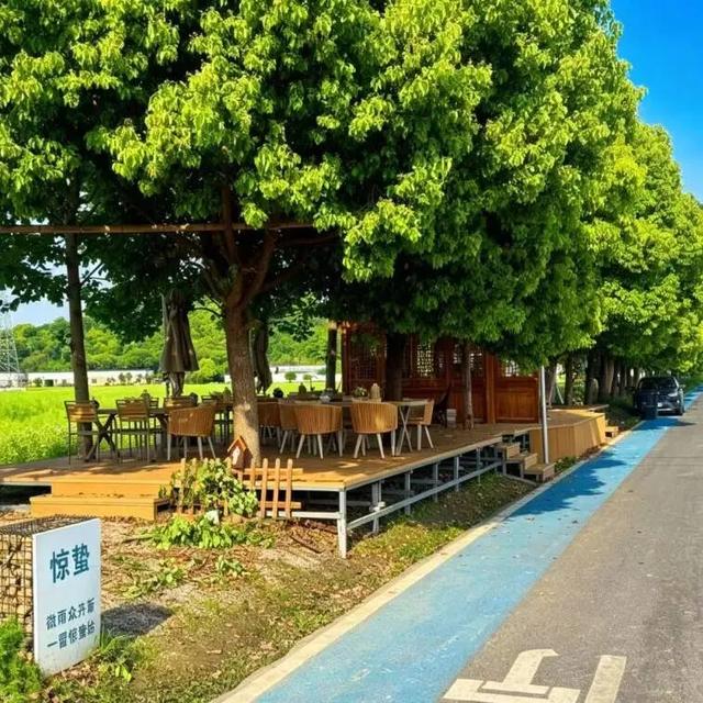 五一赴义桥｜三条专属游玩路线，解锁假日最惬意的打开方式
