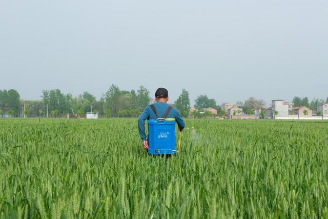 “最怕十月初一是晴天”，今天十月初一	，晴天有什么可怕的？